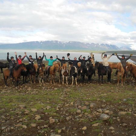 Icelandhorsetours - Helluland Saudarkrokur Екстериор снимка