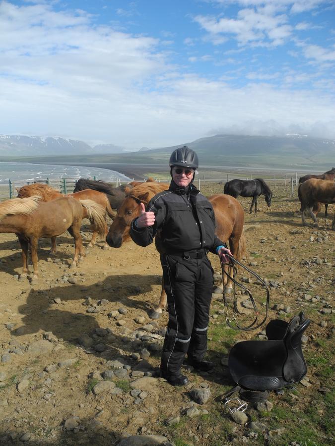 Icelandhorsetours - Helluland Saudarkrokur Екстериор снимка