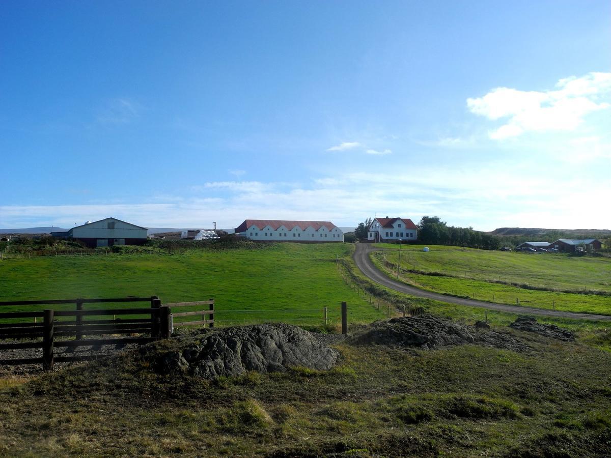 Icelandhorsetours - Helluland Saudarkrokur Екстериор снимка