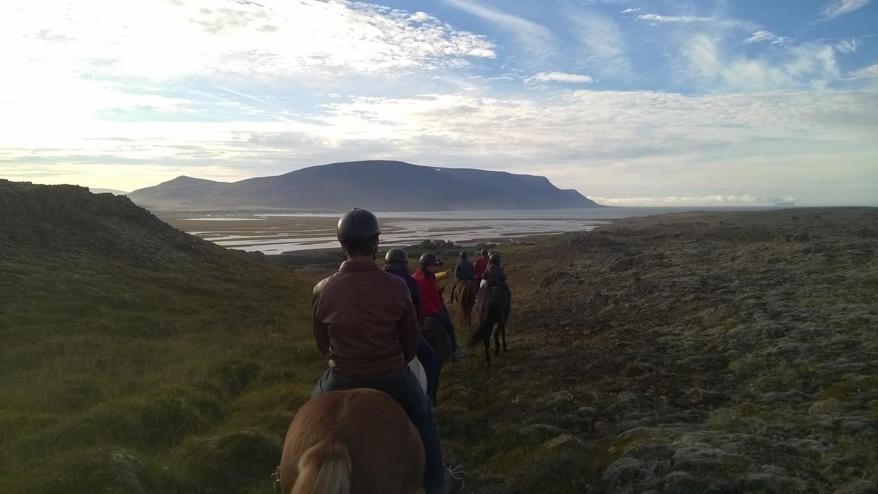 Icelandhorsetours - Helluland Saudarkrokur Екстериор снимка