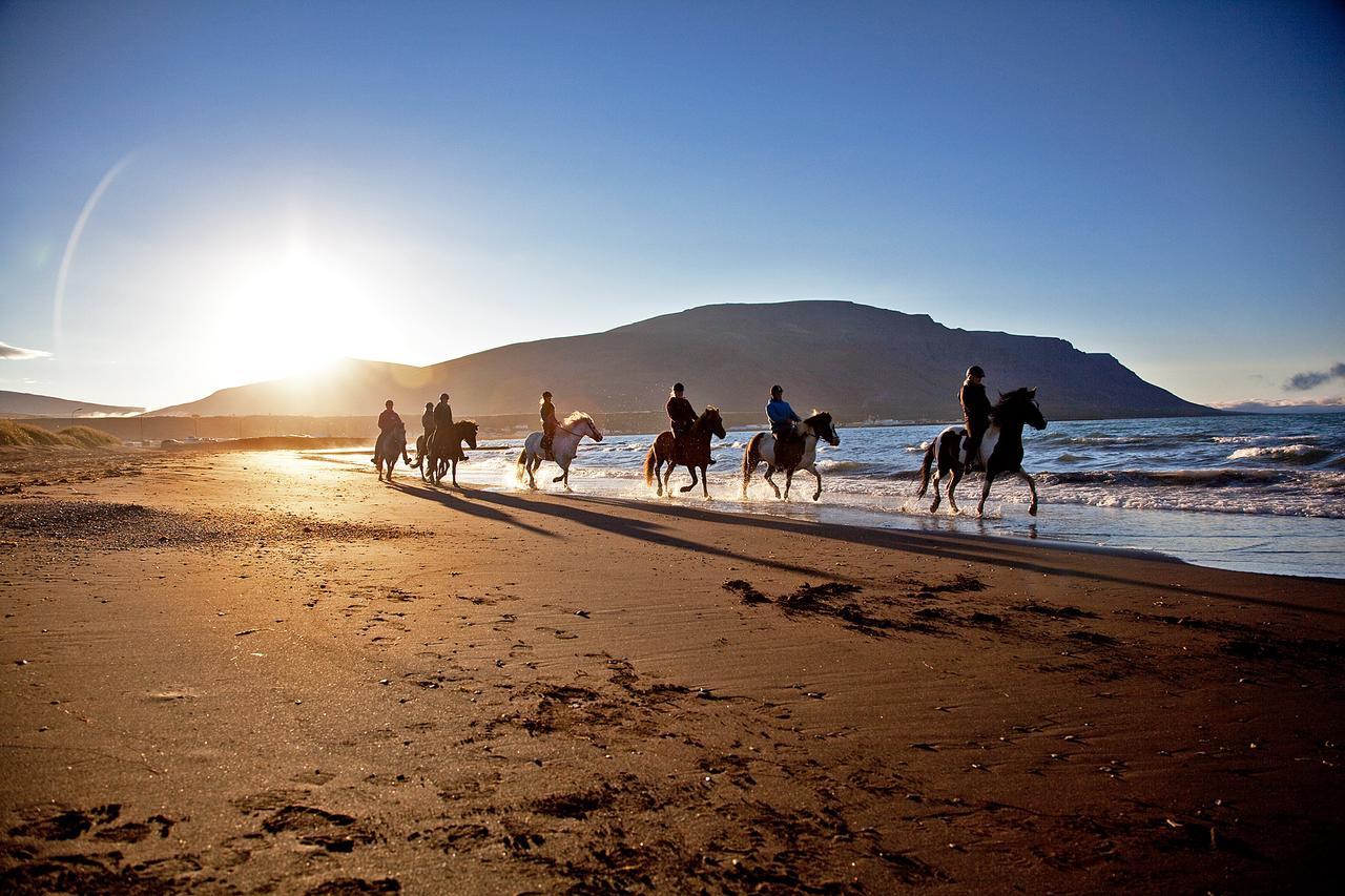 Icelandhorsetours - Helluland Saudarkrokur Екстериор снимка