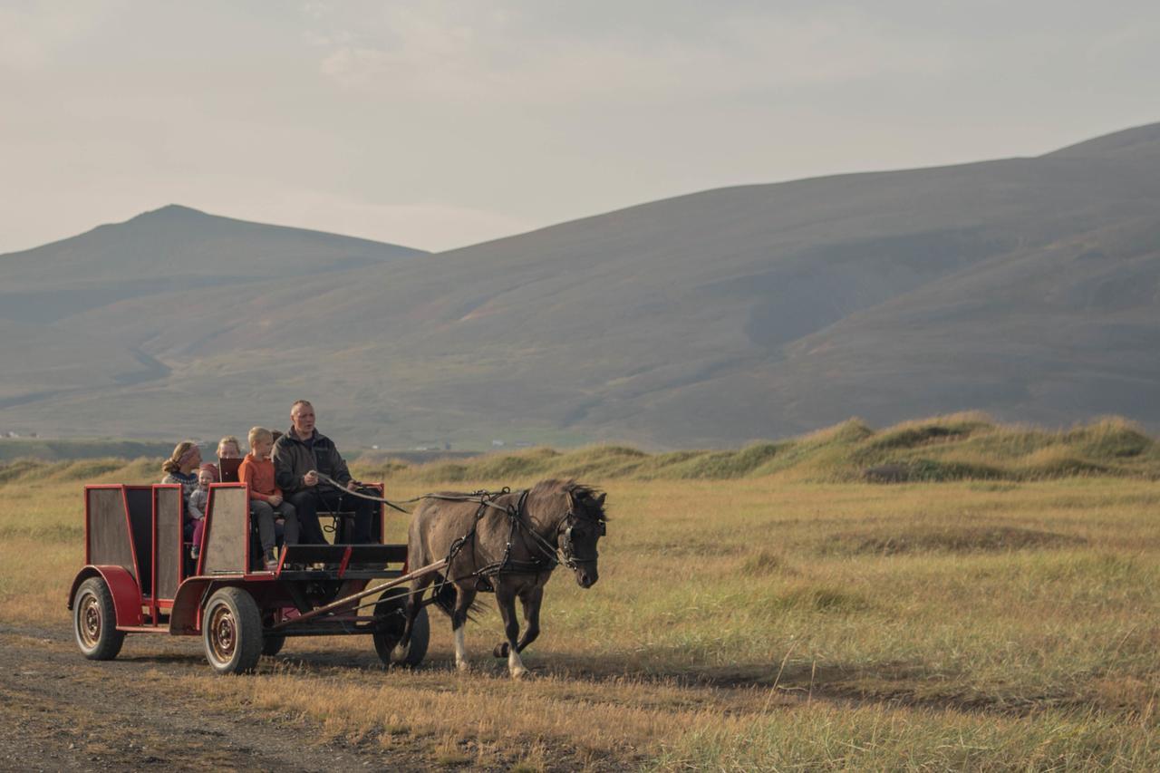 Icelandhorsetours - Helluland Saudarkrokur Екстериор снимка