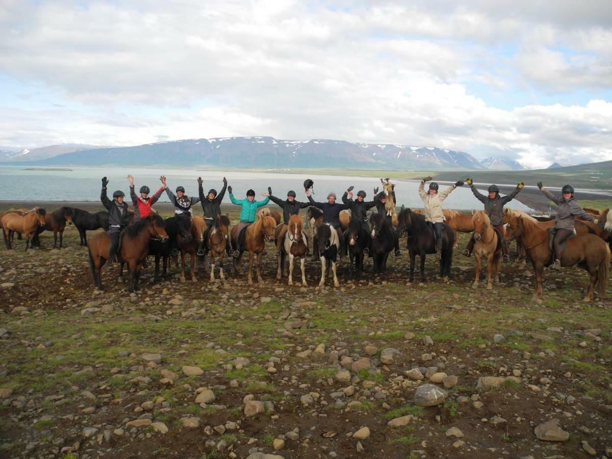 Icelandhorsetours - Helluland Saudarkrokur Екстериор снимка